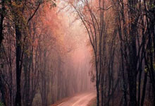 皇家马德里赢得宝贵胜利领跑小组