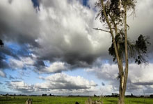 台湾选手获得比赛突破性胜利