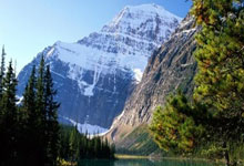 山西队欲赢得胜利，全力以赴